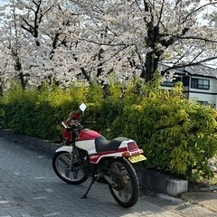 MBX50Fの画像