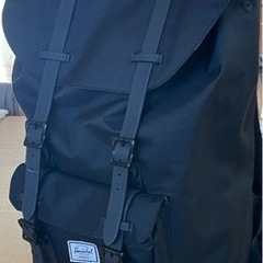 ハーシェルリュックの画像