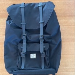 ハーシェルリュックの画像