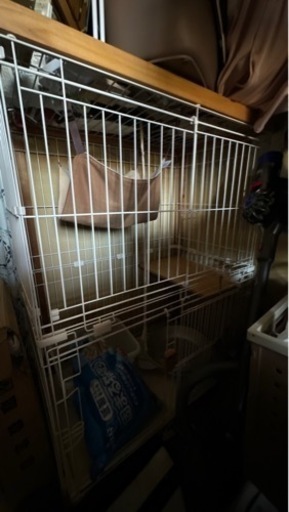 猫用　ゲージ　GW割引有り