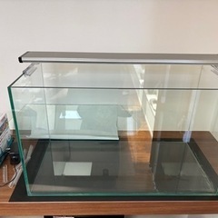 （受け渡し予定決まりました）60cm ガラス水槽＋LEDライト
