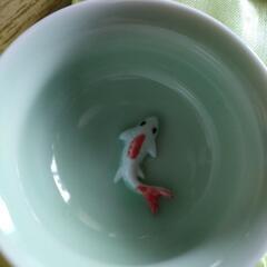 中国茶器　立体金魚　湯呑みと急須の画像