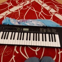 練習用に購入しましたが、ほとんど使っていません、