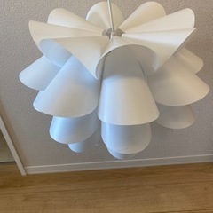 決まりましたライトの画像