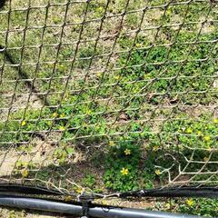 サッカー リバウンドネットの画像