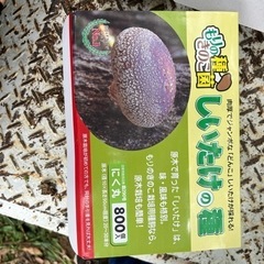 しいたけの種
