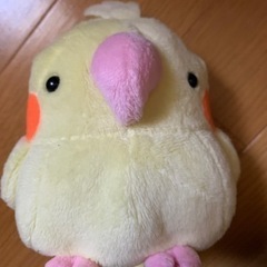 【今週100円】【未使用】「オウムちゃんぬいぐるみ」