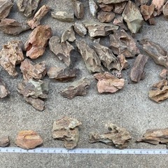 アクアリウム用品