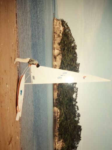 ヤマハ　シ－ホッパⅡ譲ります。