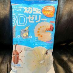 シーズン到来‼️カブトクワガタくじ1回500円の画像