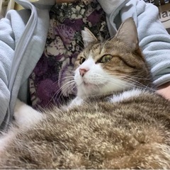 癒し系カップル