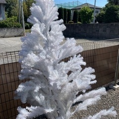 クリスマスツリー