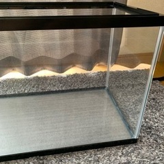 GEX マリーナ60cm水槽 の画像
