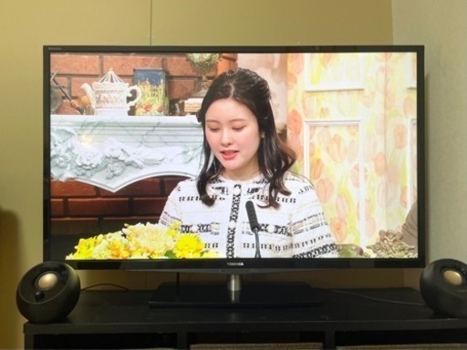 家電 テレビ 液晶テレビ