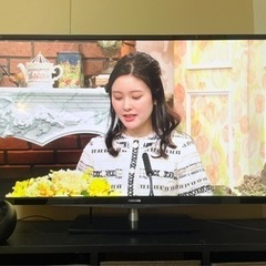 家電 テレビ 液晶テレビ