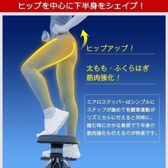 東急スポーツオアシス エアロステッパー 【SP-500】の画像