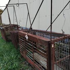 箱罠探してます【東北近辺】