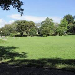 5/5(日)　榴岡公園のんびりピクニック🧺