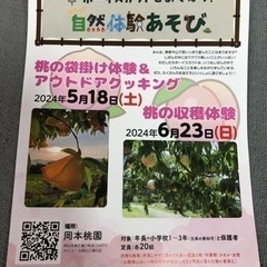 桃の袋掛け体験・アウトドアクッキング