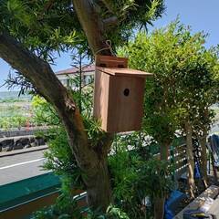 手仕事楽市　5/5