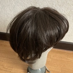ヘアウィッグの画像