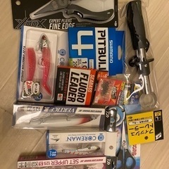 シーバス釣り教えてください🎣