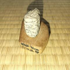 【重さ記載しました！希少！】南極の石（極小）手作りの台座付きの画像
