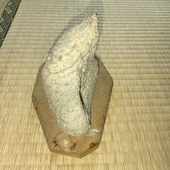 【１．６ｋｇ！希少！】南極の石（中）手作りの台座付きの画像