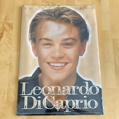 レオナルドディカプリオ Leonardo DiCaprioカレン...