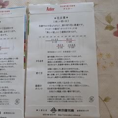 花の種の画像