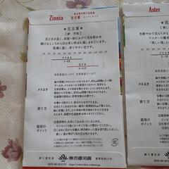 花の種の画像