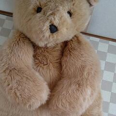 大きなクマちゃんの画像