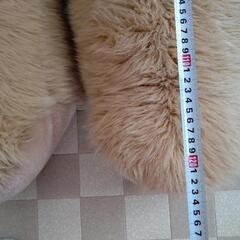 大きなクマちゃんの画像