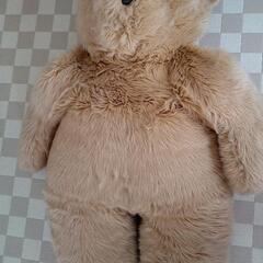 大きなクマちゃんの画像