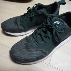 ＮＩＫＥ　ＡＩＲレアシューズ　９０００円ぐらいの品
