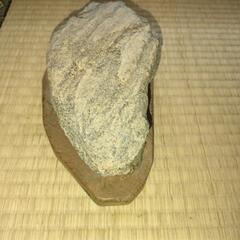 【２．５ｋｇ！希少！】南極の石（中）手作りの台座付きの画像