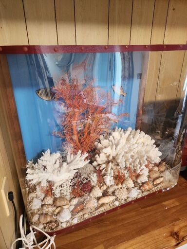 サンゴの飾り物
