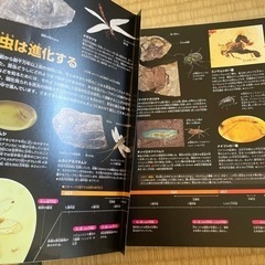 昆虫図鑑　の画像
