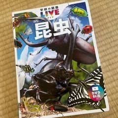 昆虫図鑑　の画像