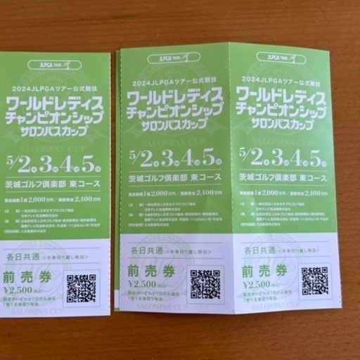 サロンパスカップ　ワールドレディース　5/5