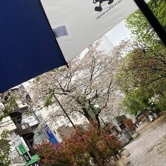 17:00以降 都内でお茶しませんか🍵