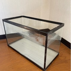 NISSO  60センチ水槽