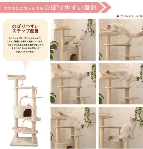キャットタワー　大型猫用　美品