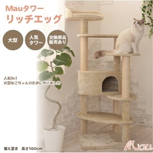 キャットタワー　大型猫用　美品
