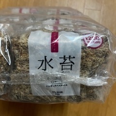 水苔　ダイソーの画像