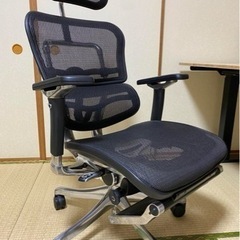 エルゴヒューマン　プロ　オッドマンの画像