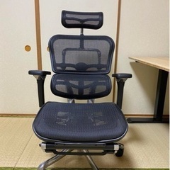 エルゴヒューマン　プロ　オッドマンの画像