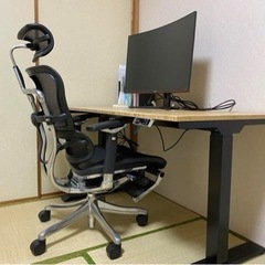 エルゴヒューマン　プロ　オッドマンの画像