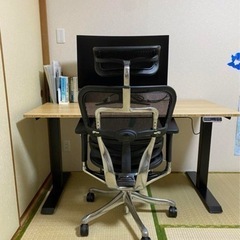 エルゴヒューマン　プロ　オッドマンの画像