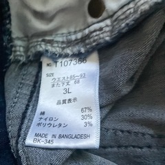 レディパンツの画像